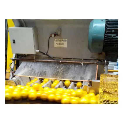 Top Quality Fruit Juice Extractor Machine - Find the Best Juicers Now!