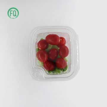 24 Oz Pet Fruit Salad Airtight Plastic Container
