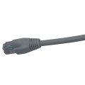 Câble Ethernet Cat6 Câble en vrac de 50 pieds Connecteurs RJ45