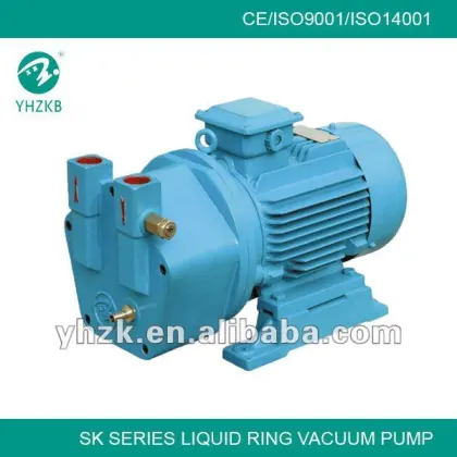 Busch vacuum pump