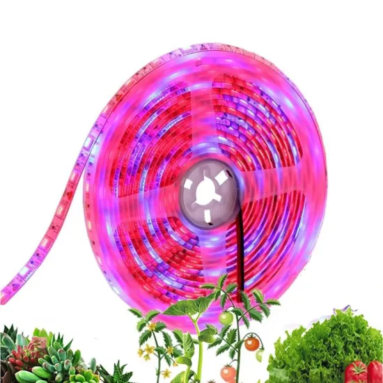 Full Spectrum LED Grow Light Strip for Greenhouse Plant Growing