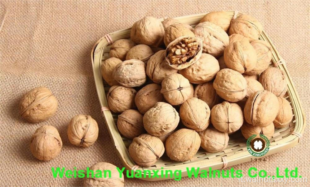 Kernel di noci cinesi dolci e croccanti pezzi leggeri (LP)