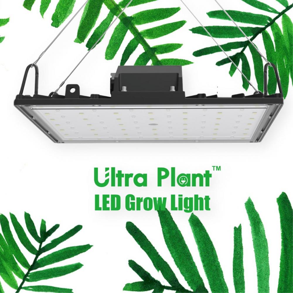 365nm 150W Ultra Plant LED Grow Light