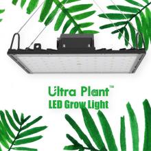 365nm 150W Dimmable Indoor Led Grow Light