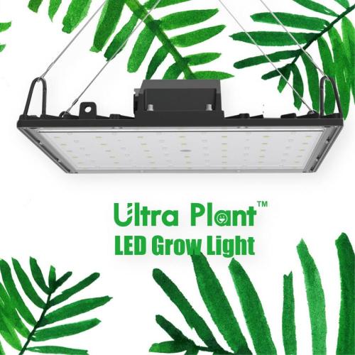 365nm 150W Dimmable Indoor Led Grow Light