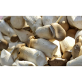 Pleurotus Eryngii Extract King Oyster Mushroom Extract