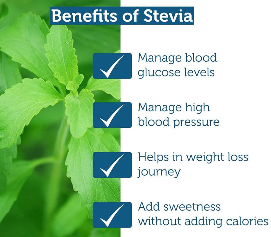 stevia extract buy online