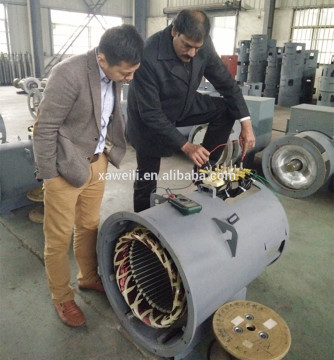 30kw lpg natural gas biogas generator set OEM factory