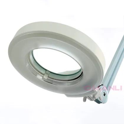 CE Certified 5X Magnifying Lamp - Beauty Salon Equipment with LED Magnifying Glass and Floor Lamp