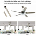 Plywood/Iron Blades AC Ceiling Fan with Light