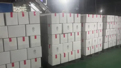 Yunnan Da Pao Walnut Kernel Pieces