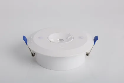 EverLight Remote Waterproof Emergency Downlight