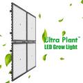 Lámparas de cultivo LED de espectro completo cuadradas de 600 W