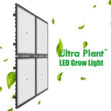 Lâmpadas LED de espectro total de 600W Square