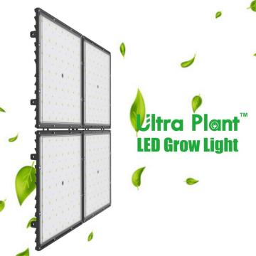 Luz de cultivo LED de espectro completo regulable 600W