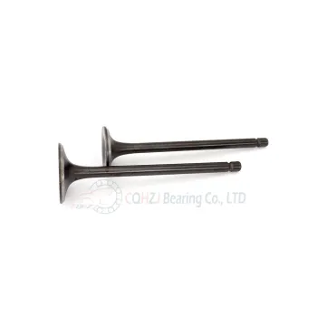 CQHZJ Motorcycle Parts Engine Valve for CG125 CG150 Win100 CD110 MT110