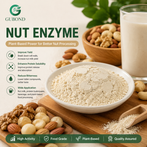 Mezcla de enzimas de frutos secos para hidrólisis de proteínas de frutos secos y procesamiento de alimentos de origen vegetal