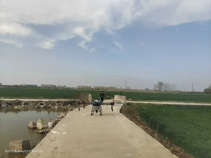 Hot Sale Dual Systems Agricultural Spraying Drone