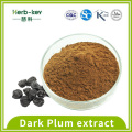 10: 1 Solid Drink Dark Plum Extraktpulver