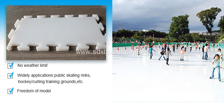 Synthetic Ice Rink Panel