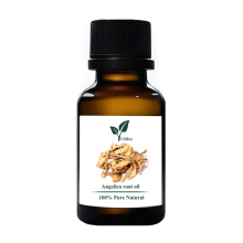 Angelica root oil for sale