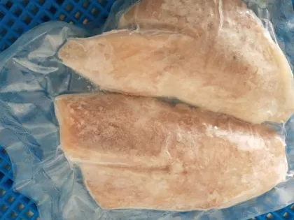 Grey Triggerfish Fillet High Quality