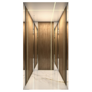 Leichte Luxus dekorative Panel -Villa -Aufzug