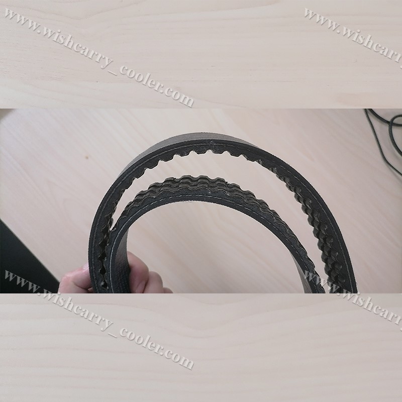 781822 Belt Thermo King Original - Motor/Jackshaft a Compressor (2/13 y después), T680P/880P/T600M/600R/800M/800R