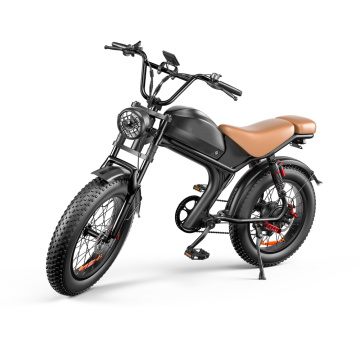Electric Bike for Adults 48V 1000W 20AH Battery