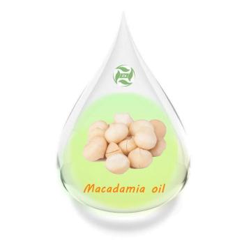 Preço em massa por atacado Macadâmia Nuts Oil Macadamia Oil