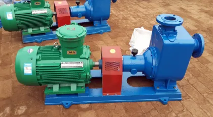 CYZ Marine bilge sea water pumps