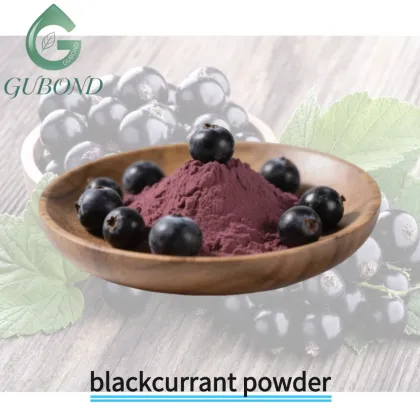 Blackcurrant Spray Dried Fruit Powder Anthocyanin Rich