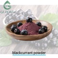 Порошок сухофруктов черной смородины, богатый антоцианами