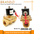 1 &quot;2W250-25 Brass Electric Solenoid Valve 24VDC 220VAC