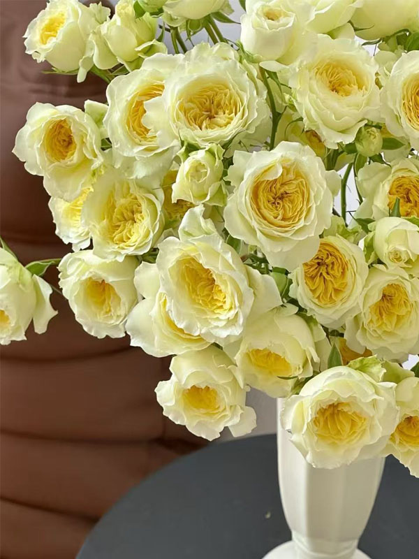 Spray rose Butter Cup3