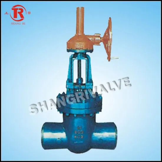 Welded Gear Gate Valve (Type: Z560Y-600I)