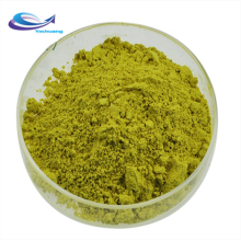 High quality moringa powder capsules