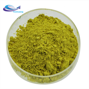 High quality moringa powder capsules