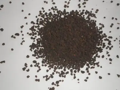 black tea