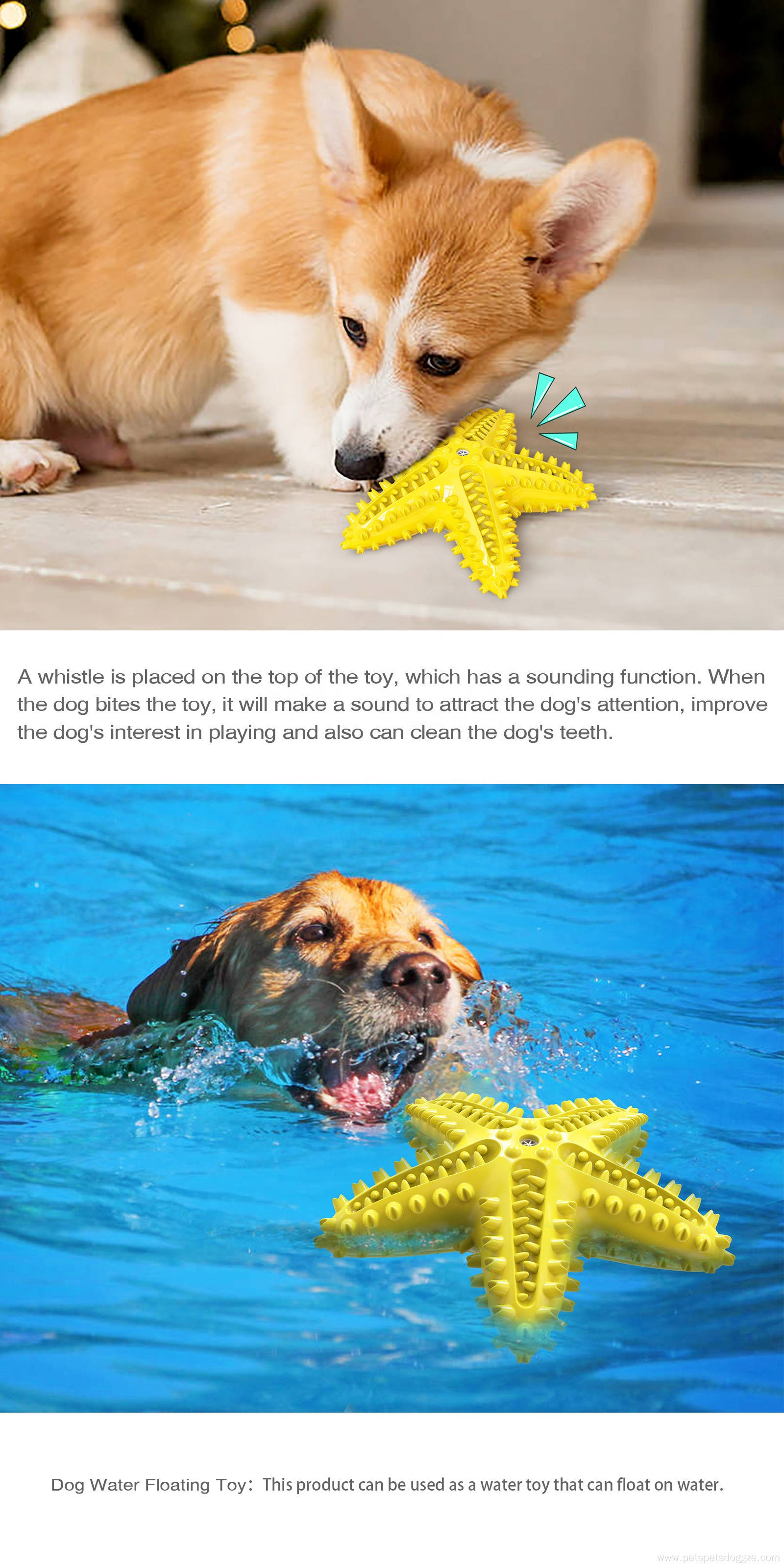 Pet Chew Toy Vocalable Starfish Dog Scratcher Toy