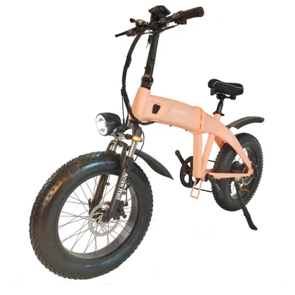 Dual motor snow electric bike