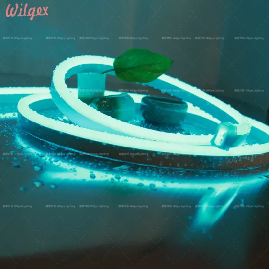 20M max. running length LED neon flex RGB