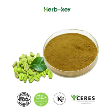 Antihypertensive Green coffee bean Extract 50% powder