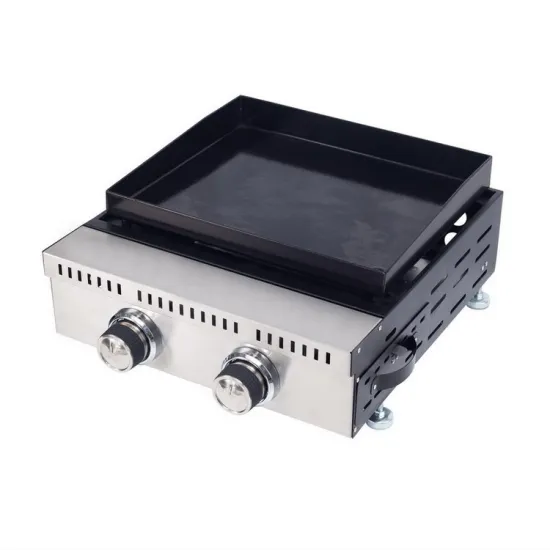 Portable Electric Gas BBQ Grill for Camping with Temperature Control