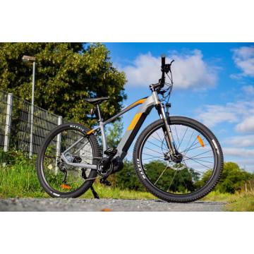 Hermess Chinese competitive price 29inch all round mountain electric bicycle for sales