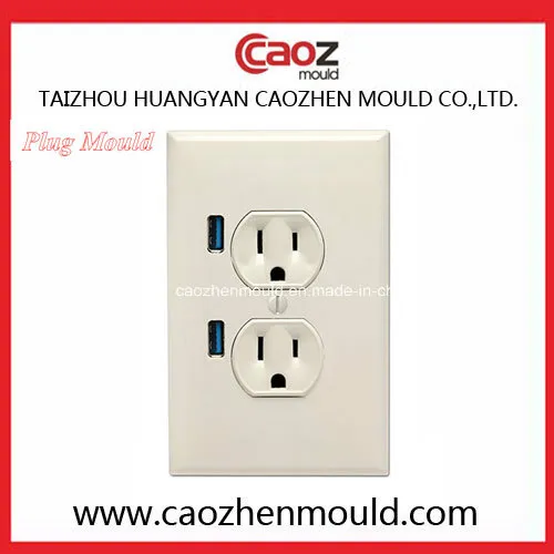 Plastic Injection Plug Mould with Two Socket