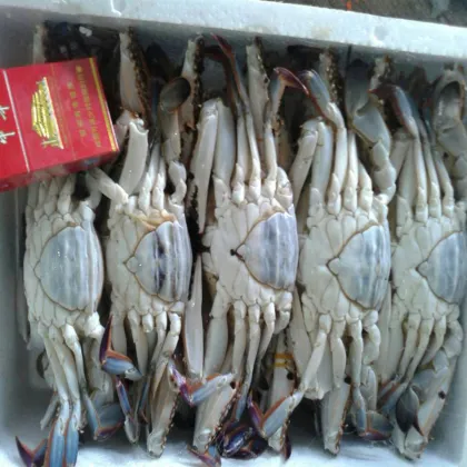 New selling frozen ghost cut crab big size Frozen Crab raw material block in stock
