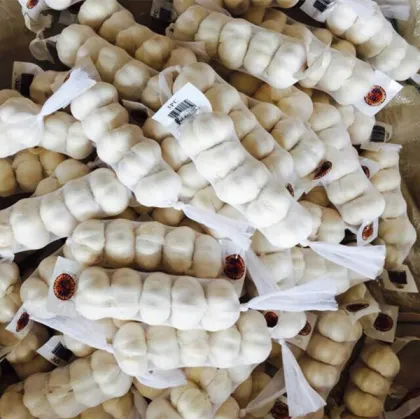 fresh chinese pure white garlic import china garlic good farmer garlic