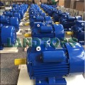 YC Single Phase AC Electric Motor 3 HP