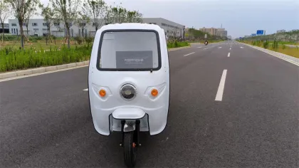 New Arrival Low Price Tricycle Electrique